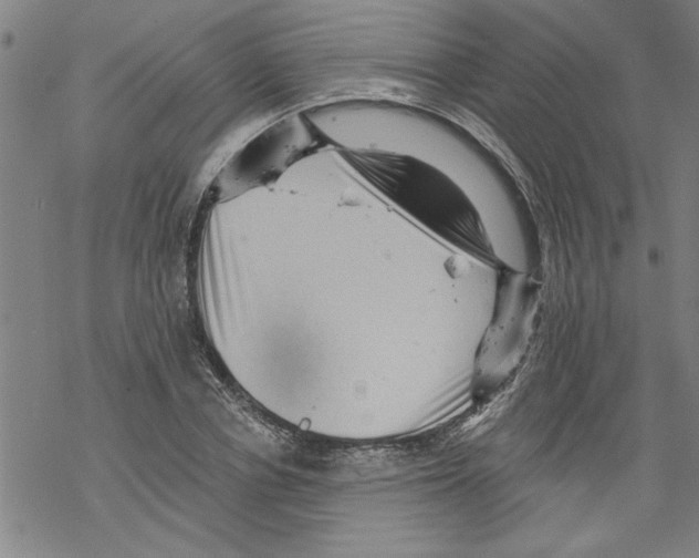 X0000067510834200605051827