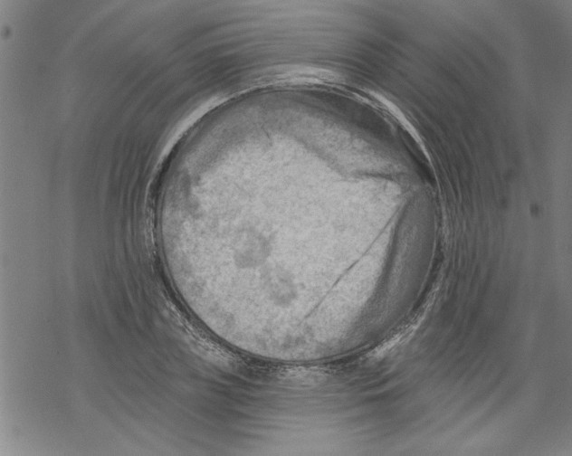 X0000067510835200605051827