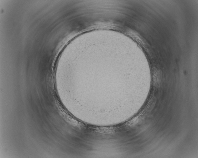 X0000067510836200605051827