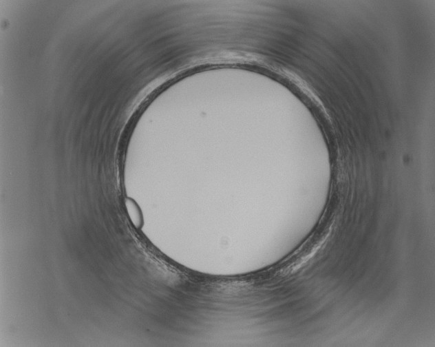 X0000067510837200605051827