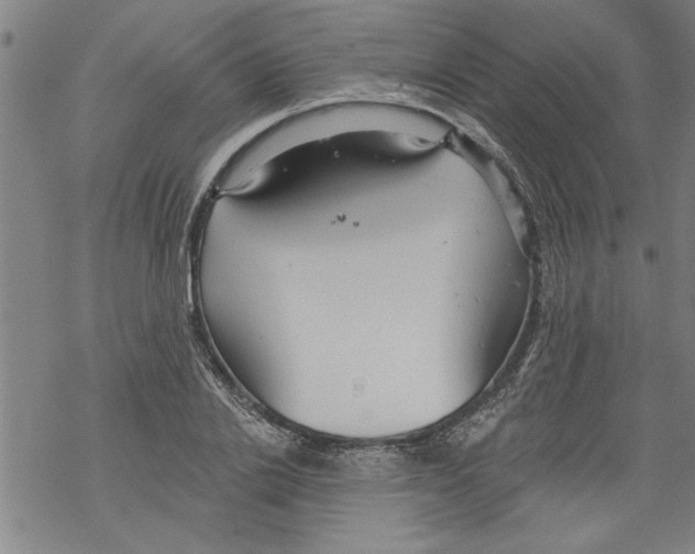 X0000067510838200605051827