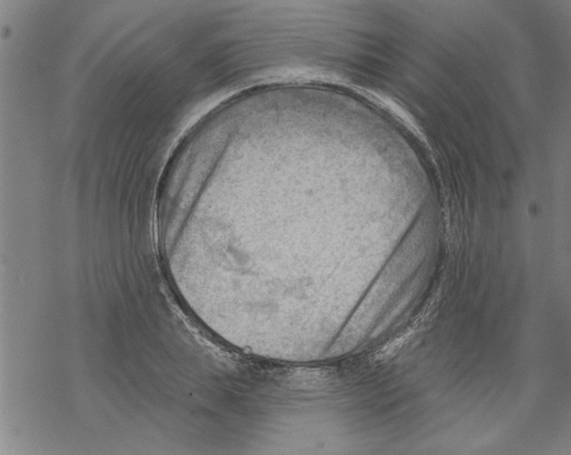 X0000067510839200605051827