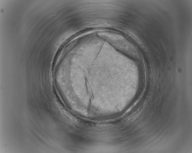 X0000067510840200605051827