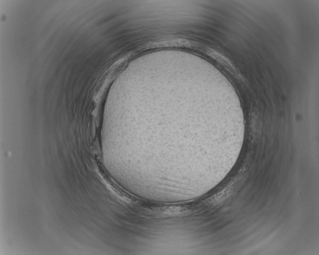 X0000067510841200605051827