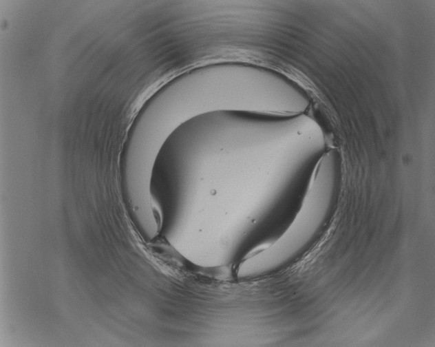 X0000067510842200605051827