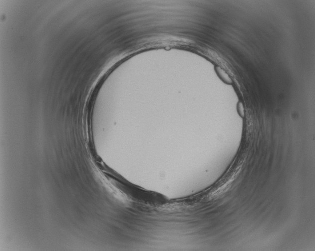 X0000067510843200605051827