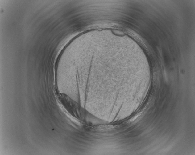 X0000067510844200605051827