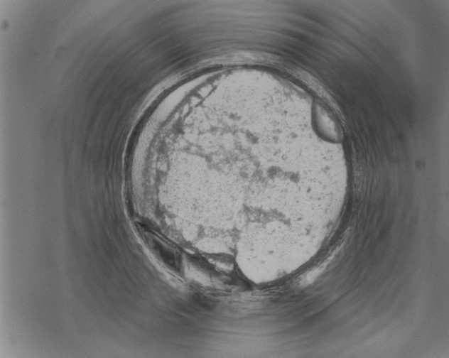 X0000067510845200605051827