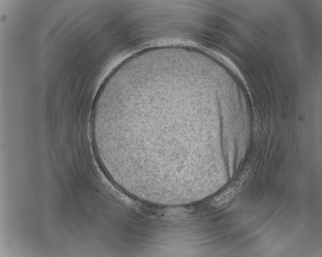 X0000067510847200605051827