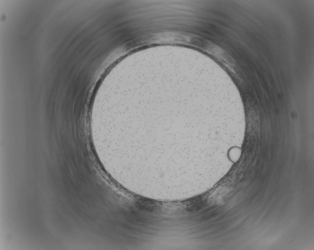 X0000067510848200605051827