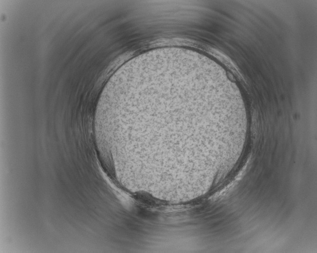 X0000067510849200605051827