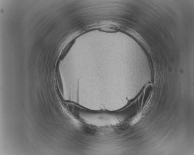 X0000067510850200605051827