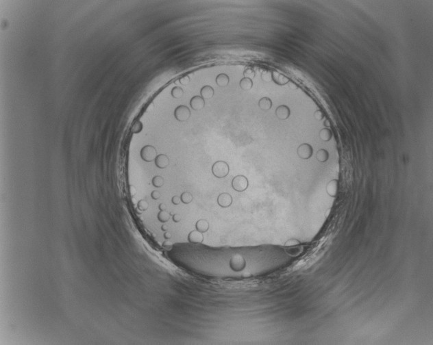 X0000067510851200605051827