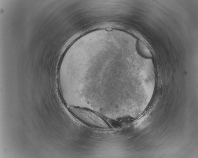 X0000067510853200605051827