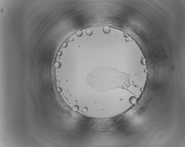 X0000067510856200605051827