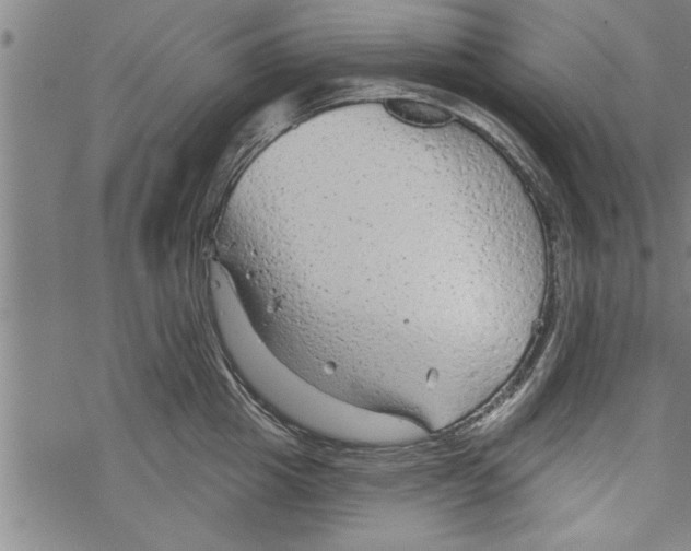 X0000067510857200605051827