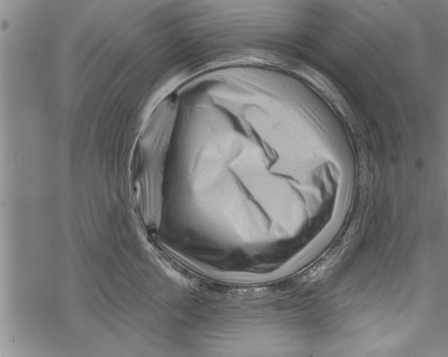 X0000067510858200605051827