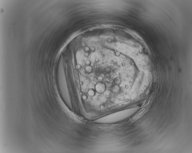 X0000067510859200605051827