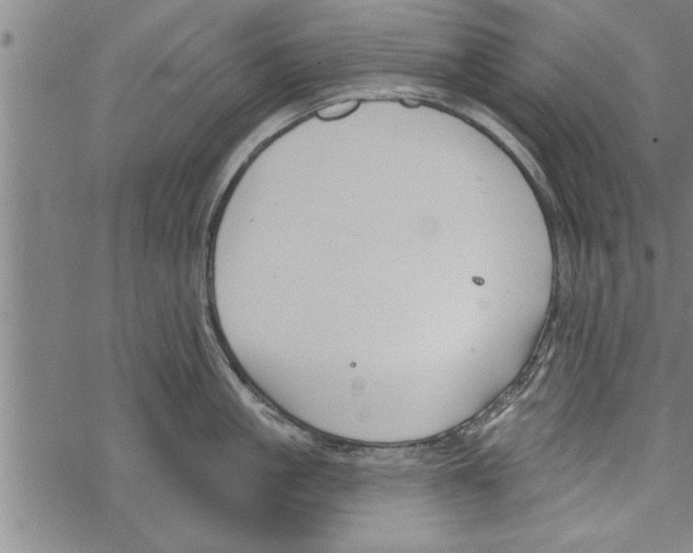 X0000067510861200605051827