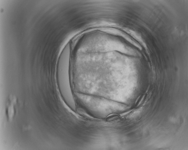 X0000067510863200605051827