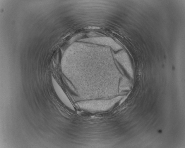 X0000067510868200605051827