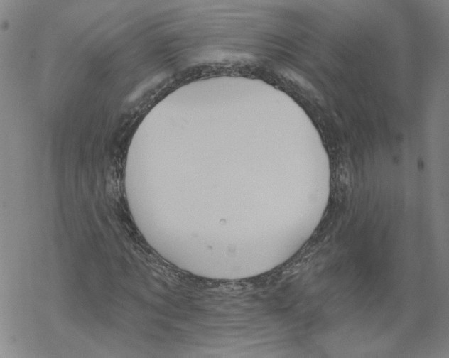 X0000067510869200605051826