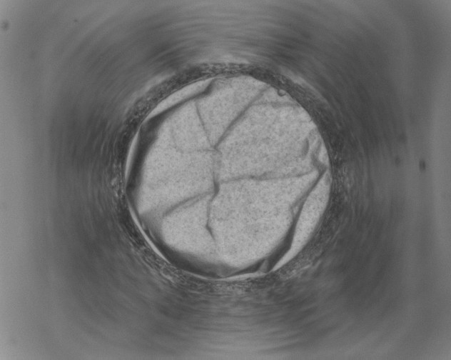 X0000067510870200605051826