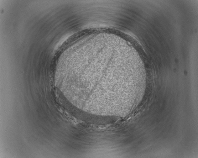 X0000067510871200605051826