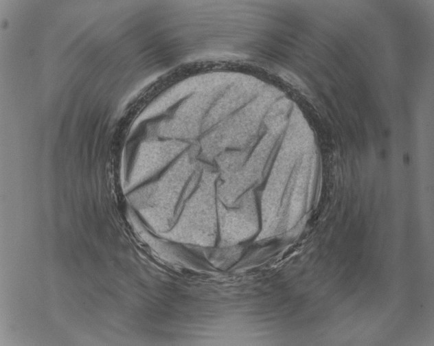 X0000067510872200605051826