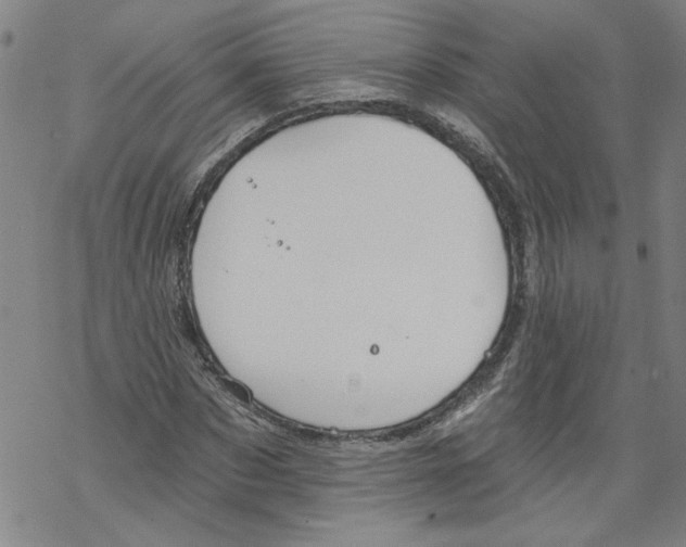 X0000067510873200605051826