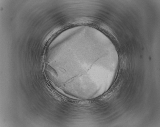 X0000067510874200605051826