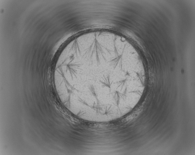 X0000067510875200605051826