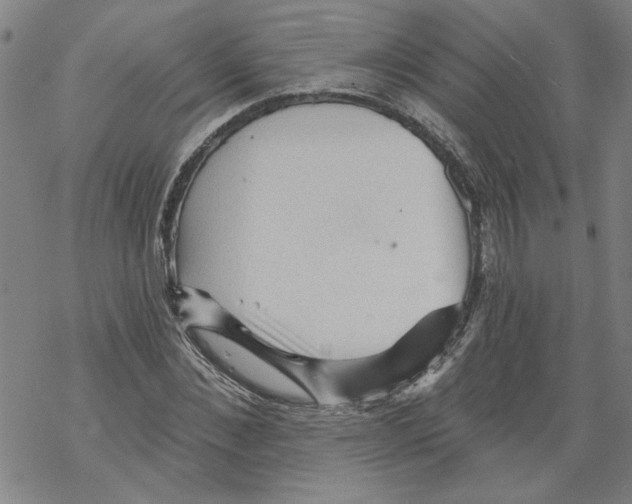 X0000067510876200605051826