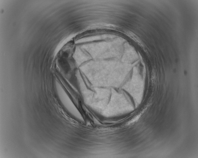 X0000067510877200605051826