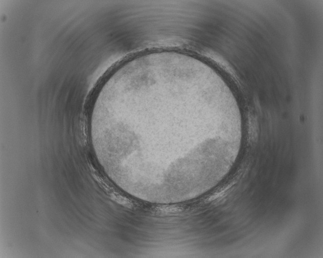 X0000067510878200605051826