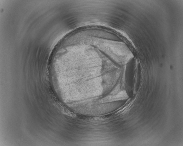 X0000067510879200605051826