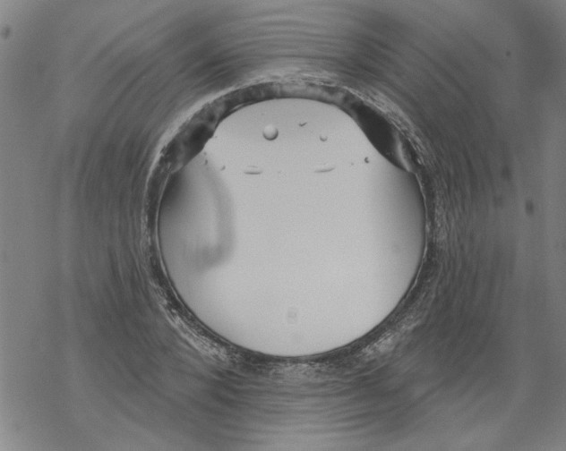 X0000067510880200605051826