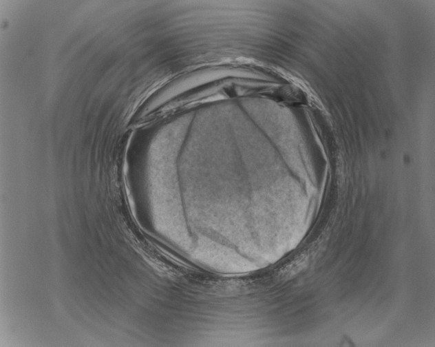 X0000067510881200605051826