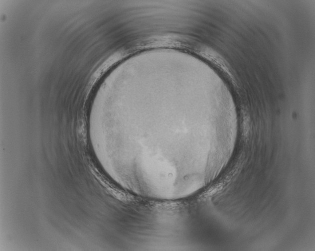 X0000067510882200605051826