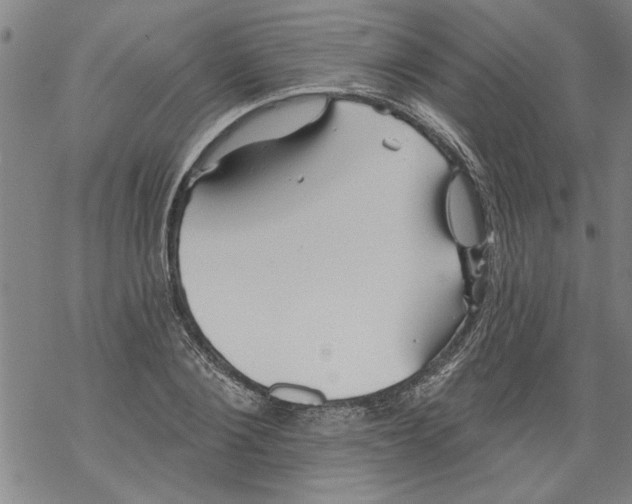 X0000067510884200605051826