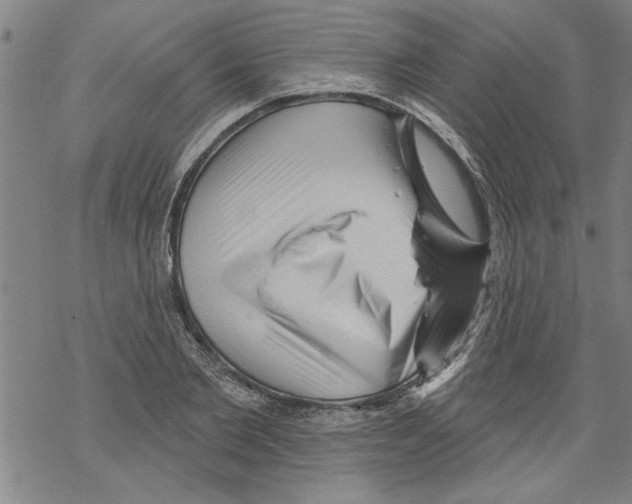 X0000067510885200605051826