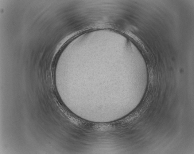 X0000067510886200605051826