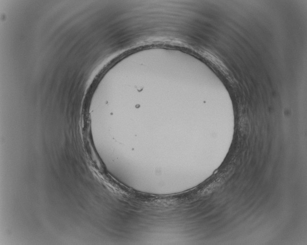 X0000067510888200605051826