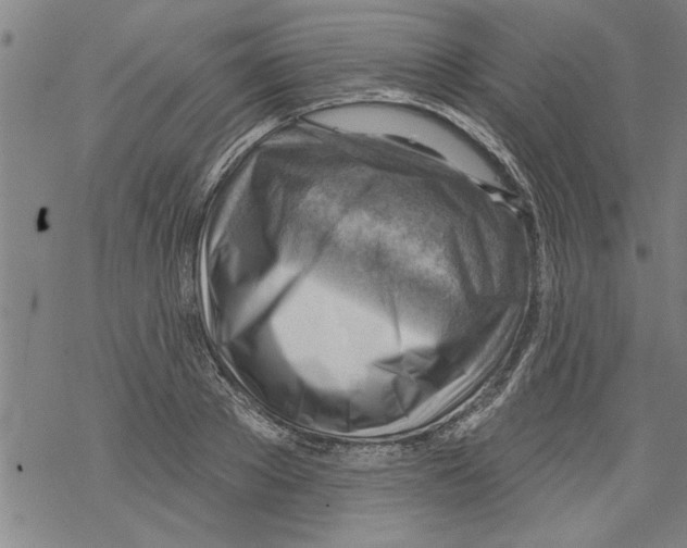 X0000067510889200605051826