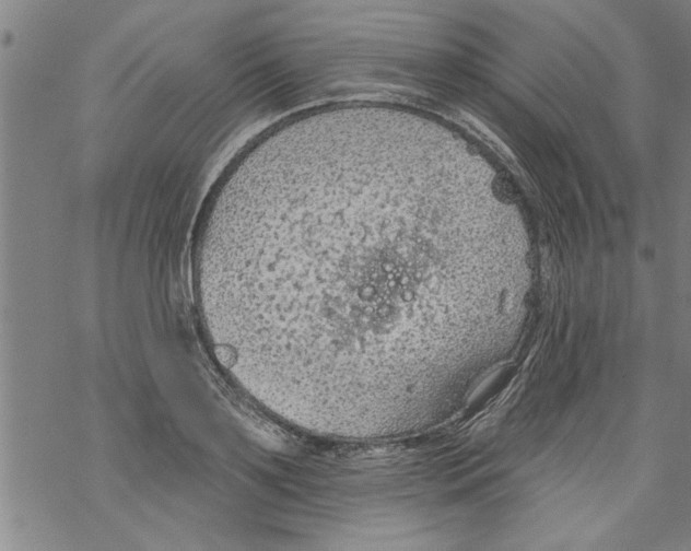 X0000067510891200605051826