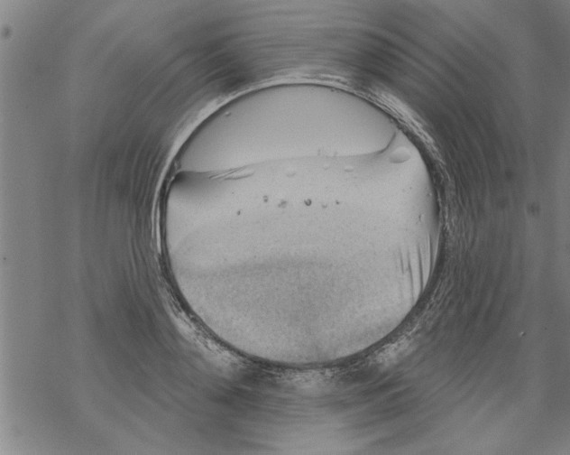 X0000067510892200605051826