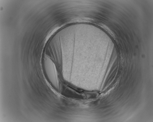 X0000067510893200605051826