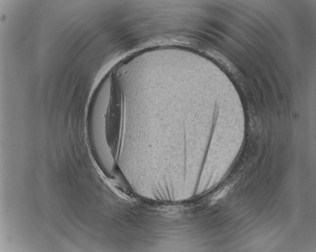 X0000067510894200605051826