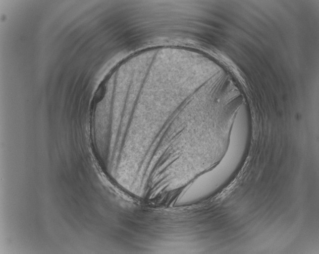 X0000067510896200605051826