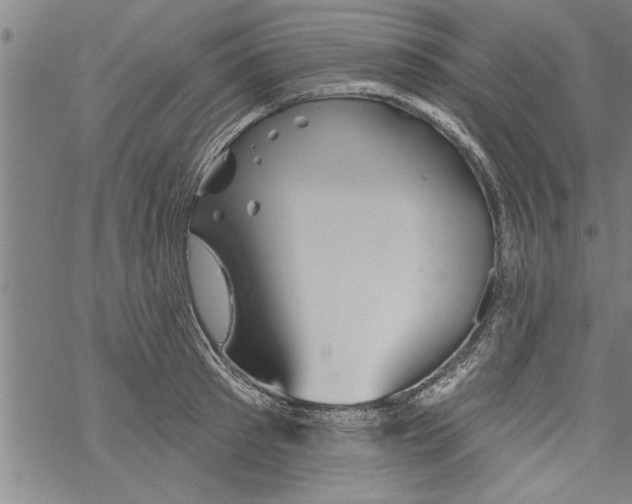 X0000067510897200605051826